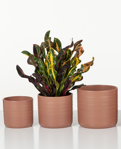 SCHEURICH - Cache-Pot 850 Sunburn 14cm - large