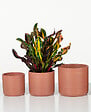 SCHEURICH - Cache-Pot 850 Sunburn 14cm - vignette
