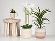 SCHEURICH - Cache-Pot 785 Alabaster 13cm - vignette