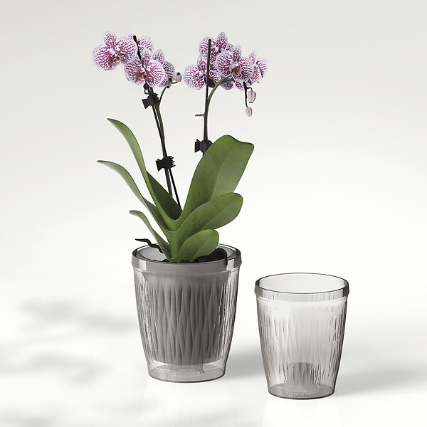 DEROMA - Cache-pot Orchid Luminosa 13cm - large