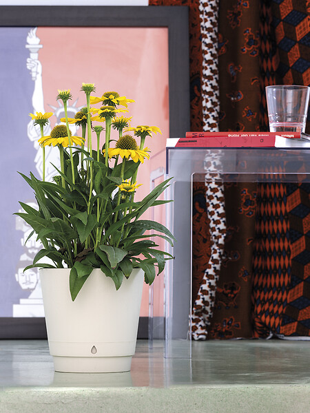 DEROMA - Pot Dune Sable re 18cm - large