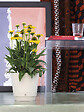 DEROMA - Pot Dune Sable re 18cm - vignette