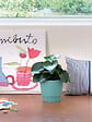 DEROMA - Cache-Pot Plissé Vert Satin 18cm - vignette