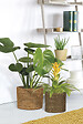 SCHEURICH - Cache-Pot 508 Seagrass Nut 15cm - vignette