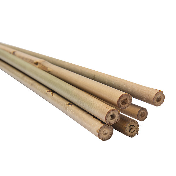WERKAPRO - Lot de 6 tuteurs en bambou  H 120cm (Ø 12-14 mm) - large