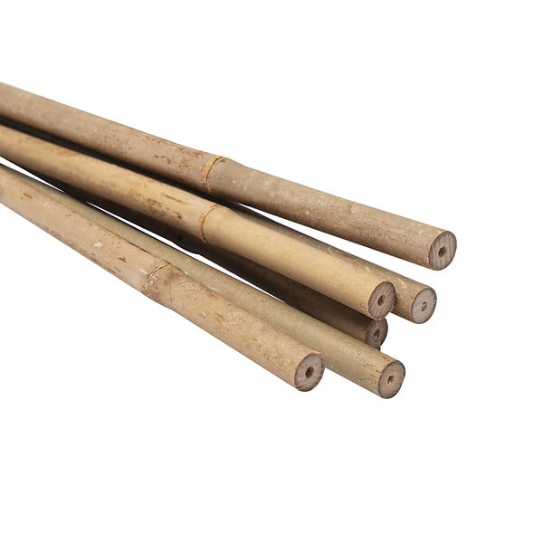 WERKAPRO - Lot de 6 tuteurs en bambou  H 60cm (Ø 6-8 mm) - large