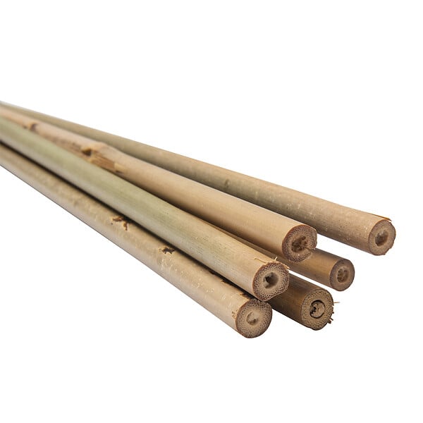 WERKAPRO - Lot de 6 tuteurs en bambou  H 180 cm (Ø16-18mm) - large