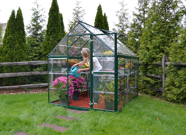 PALRAM - Canopia Serre de jardin Harmony 4,6m² Verte - large