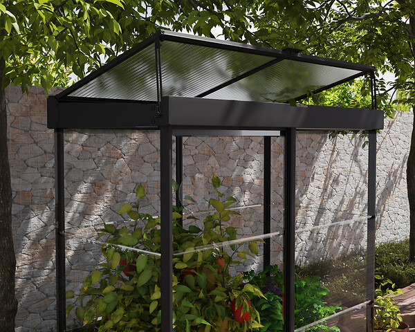 CANOPIA - Serre de jardin Ivy Noire - large