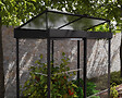 CANOPIA - Serre de jardin Ivy Noire - vignette