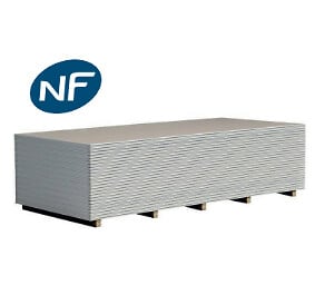 DRYPLAC - Plaque de plâtre BA13 standard - H.250xL.120cm - Ep.13mm - large