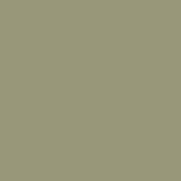 NUANCE - Testeur de peinture Velours - Vert renversant - 75ml - large