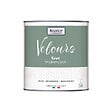 NUANCE - Peinture Velours - Vert talentueux - 0,5L - vignette