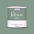 NUANCE - Peinture Velours - Vert talentueux - 0,5L - vignette