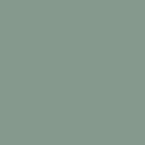 NUANCE - Peinture Velours - Vert talentueux - 0,5L - large