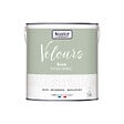 NUANCE - Peinture Velours - Vert passionné - 2L - vignette