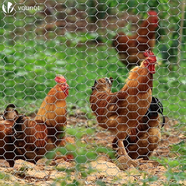 VOUNOT - Grillage a poule avec fils 25mm en acier galvanise 1x50M - large