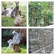 VOUNOT - Grillage a poule avec fils 25mm en PVC gaine gris 1x50M - vignette