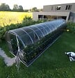 KLASIKA GREENHOUSES - Serre de jardin KLASIKA ARCH 3 x 12 m (36 m²), 4 mm avec revêtement en polycarbonate - vignette