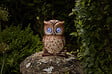 SMARTSOLAR - Hibou solaire clin d'oeil - vignette