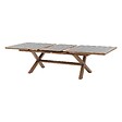 HESPERIDE - Table de jardin extensible "Axiome" graphite & honey 10 places en aluminium - vignette