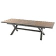 HESPERIDE - Table de jardin extensible "Axiome" effet bois honey & praline 10 places en aluminium traité époxy - vignette