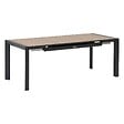 HESPERIDE - Table de jardin extensible "Évasion" effet bois honey & graphite 8 places lates en aluminium - vignette