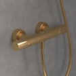 VILLEROY ET BOCH - Mitigeur douche thermostatique  Universal rond Or brossé - vignette