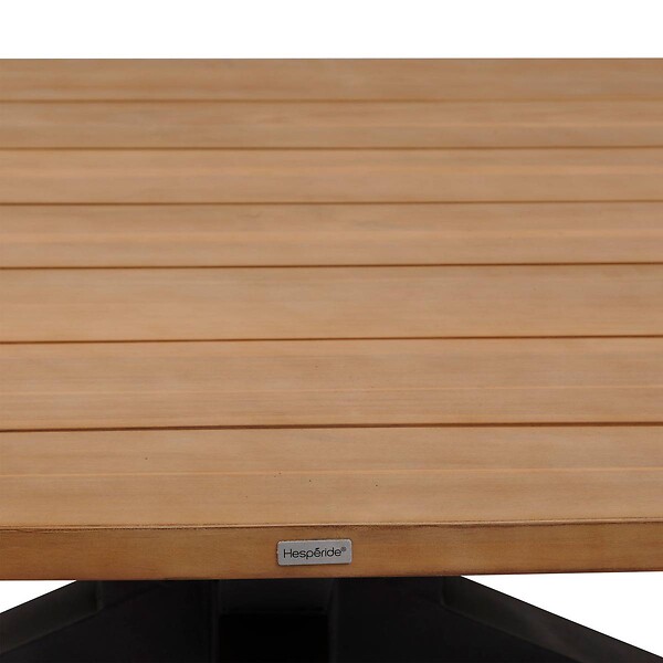 HESPERIDE - Table de jardin "Limaya" 10 places en acacia - large