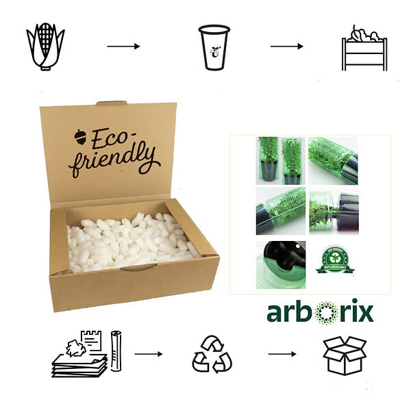 ARBORIX - 2 x Chalef piquant 'Maculata' - Elaeagnus Pungens 'Maculata'  - 30-40 cm pot - large