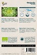 ARBORIX - Buzzy Organic Chicorée Frisée Grosse Pancalière - Bio Semences - Ca. 1 gr (Livraison Gratuite) - vignette