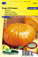 ARBORIX - Potiron / Giraumon Rouge Vif d'Etampes Semences - Légumes ou plantes à fruit - Ca. 3 g (Livraison Gratuite) - vignette