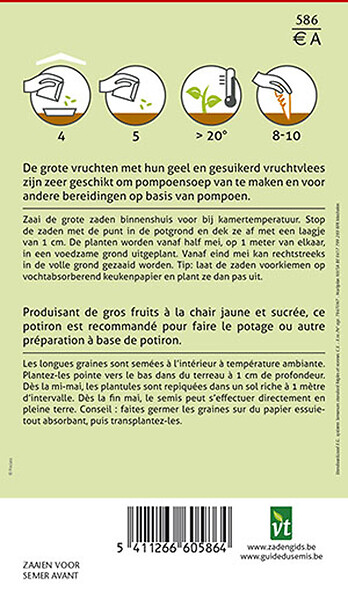 ARBORIX - Potiron Jaune Gros - Ca. 3 gr (Livraison Gratuite) - large