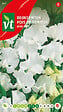 ARBORIX - Pois De Senteur Royal White - Ca. 3 gr (Livraison Gratuite) - vignette