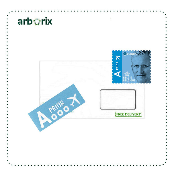 ARBORIX - Buzzy House Plants Chamaedorea Palmier nain Semences - Ca. 15 graines (Livraison Gratuite) - large