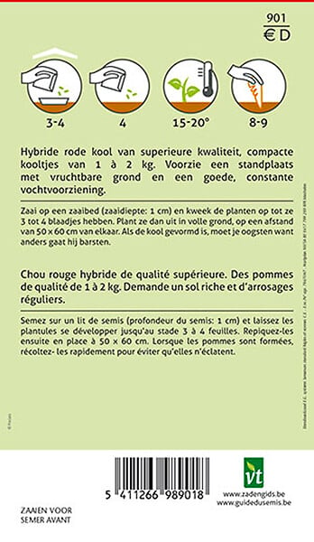 ARBORIX - Chou Rouge Redcap F1 - Ca. 0,3 gr (Livraison Gratuite) - large