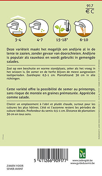 ARBORIX - Chicorée Tres Fine Maraichere - Ca. 1,5 gr (Livraison Gratuite) - large