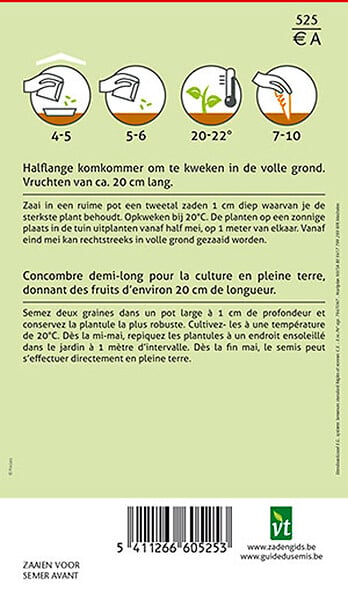 ARBORIX - Concombre Marketer - Ca. 1 gr (Livraison Gratuite) - large