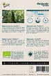 ARBORIX - Buzzy Organic Coriandre à feuille - Bio Semences - Ca. 3 gr (Livraison Gratuite) - vignette