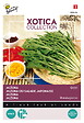 ARBORIX - Buzzy Xotica Mizuna Chou salade japonaise Semences - Ca. 10 gr (Livraison Gratuite) - vignette