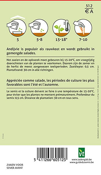 ARBORIX - Chicorée Scarole No 5 - Ca. 2 gr (Livraison Gratuite) - large