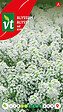 ARBORIX - Alysse Tapis De Neige - Ca. 0,5 gr (Livraison Gratuite) - vignette