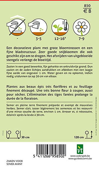ARBORIX - Pied D'Alouette Annuel Sublime Mix - Ca. 0,75 gr (Livraison Gratuite) - large