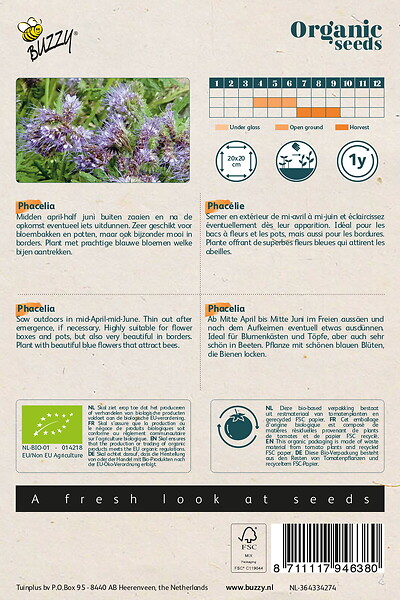 ARBORIX - Buzzy Organic Phacelia - Bio Semences - Ca. 0,5 gr (Livraison Gratuite) - large