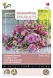 ARBORIX - Buzzy Colourful Bouquets Pretty Pink Semences - Ca. 5 gr (Livraison Gratuite) - vignette