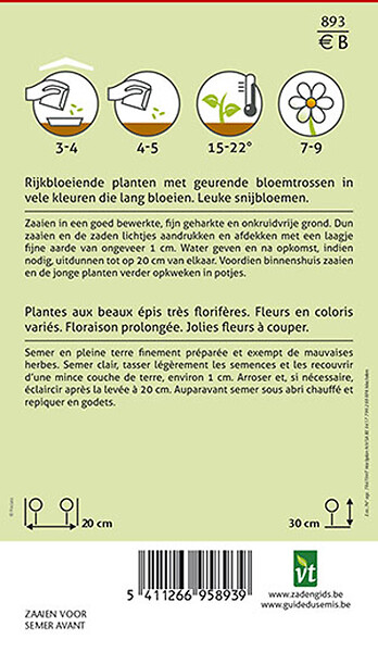 ARBORIX - Giroflée D'Été Varie - Ca. 0,75 gr (Livraison Gratuite) - large