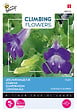 ARBORIX - Buzzy Climbing Flowers Asarina Violet Semences - Ca. 10 graines (Livraison Gratuite) - vignette