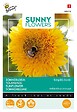 ARBORIX - Buzzy Sunny Flowers Tournesol nain Sungold double Semences - Ca. 2.5 gr (Livraison Gratuite) - vignette