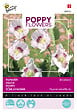 ARBORIX - Buzzy Poppy Flowers Pavot des Jardins Semences - Ca. 1 gr (Livraison Gratuite) - vignette