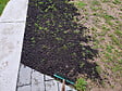 JARDIBEST - Gazon réparation enrobé - 1kg - vignette